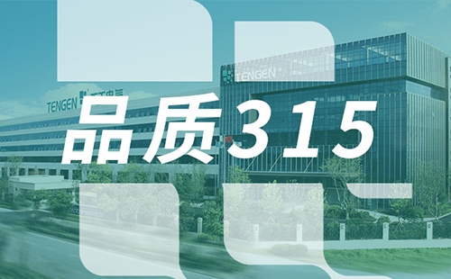 品质315，pg电子树立断路器品控标杆